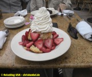 Zufallsbild - Sequoia Nationalpark