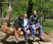 Yosemite Nationalpark #3